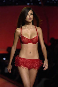 Adriana Lima in various lovely lingerie - 04