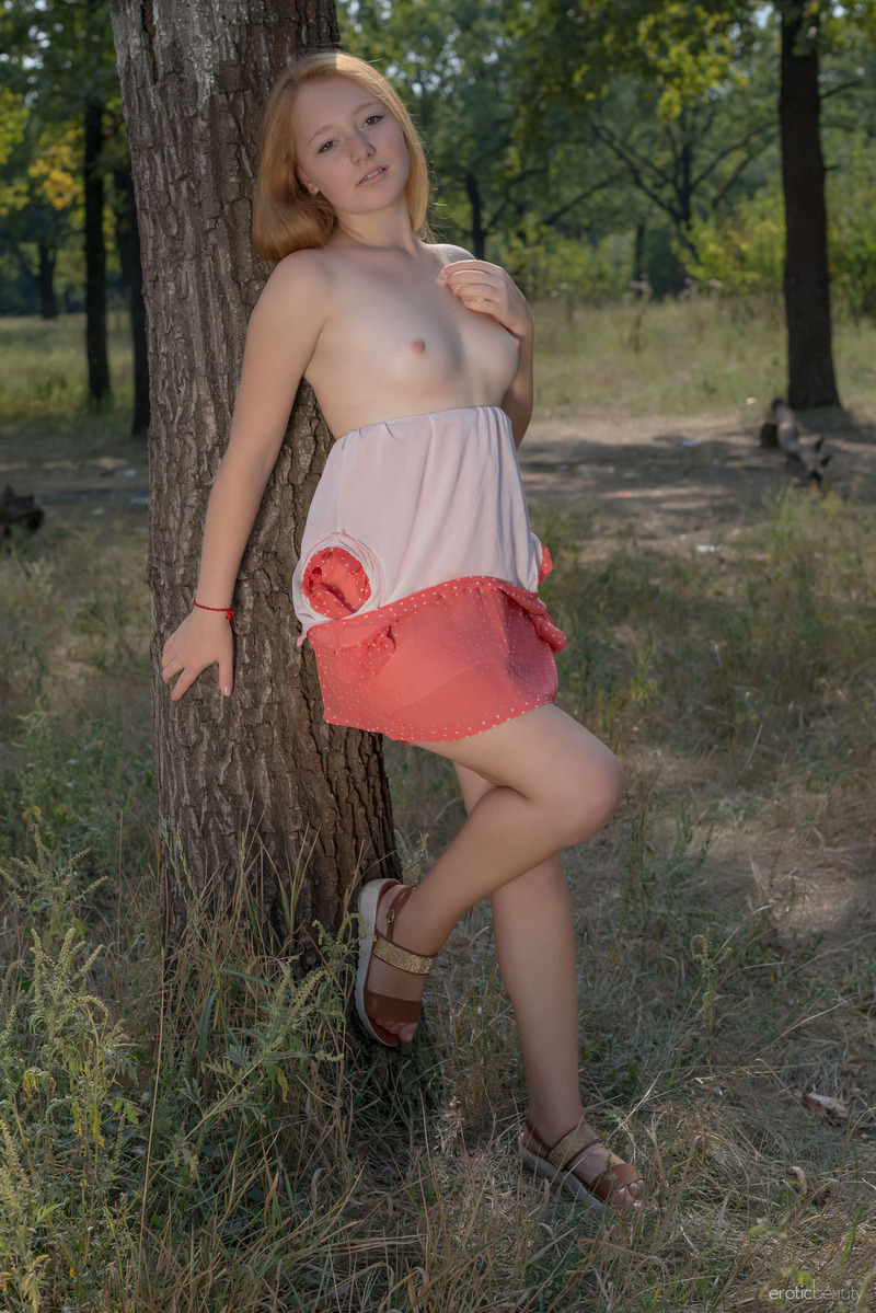Presenting Red Cat - 