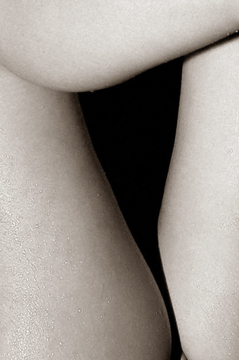 Petals. Vol.40 - 