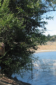 Big breasted blond - 05